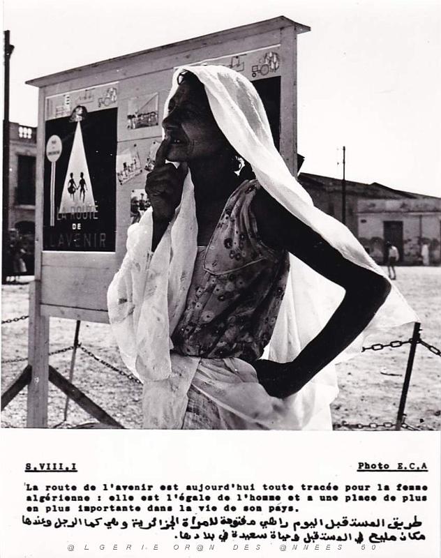Algerie propagande 072.jpg